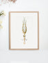 raw wood framed vintage squid print wall art